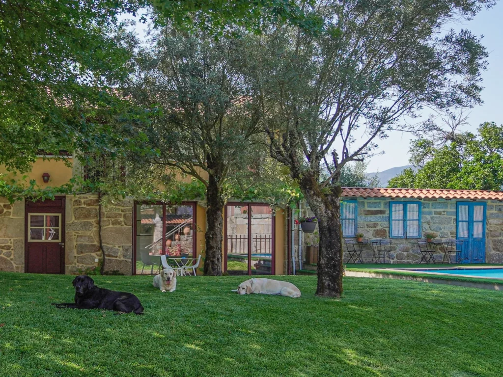 Sinopse Fotografia Turismo Quinta da Mó (6)